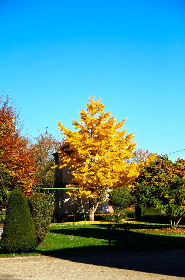 Chateau De Montabert Montaulin Zewnętrze zdjęcie